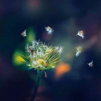 /photo/838024/新人报道/psb (1)_1_2_small.jpg